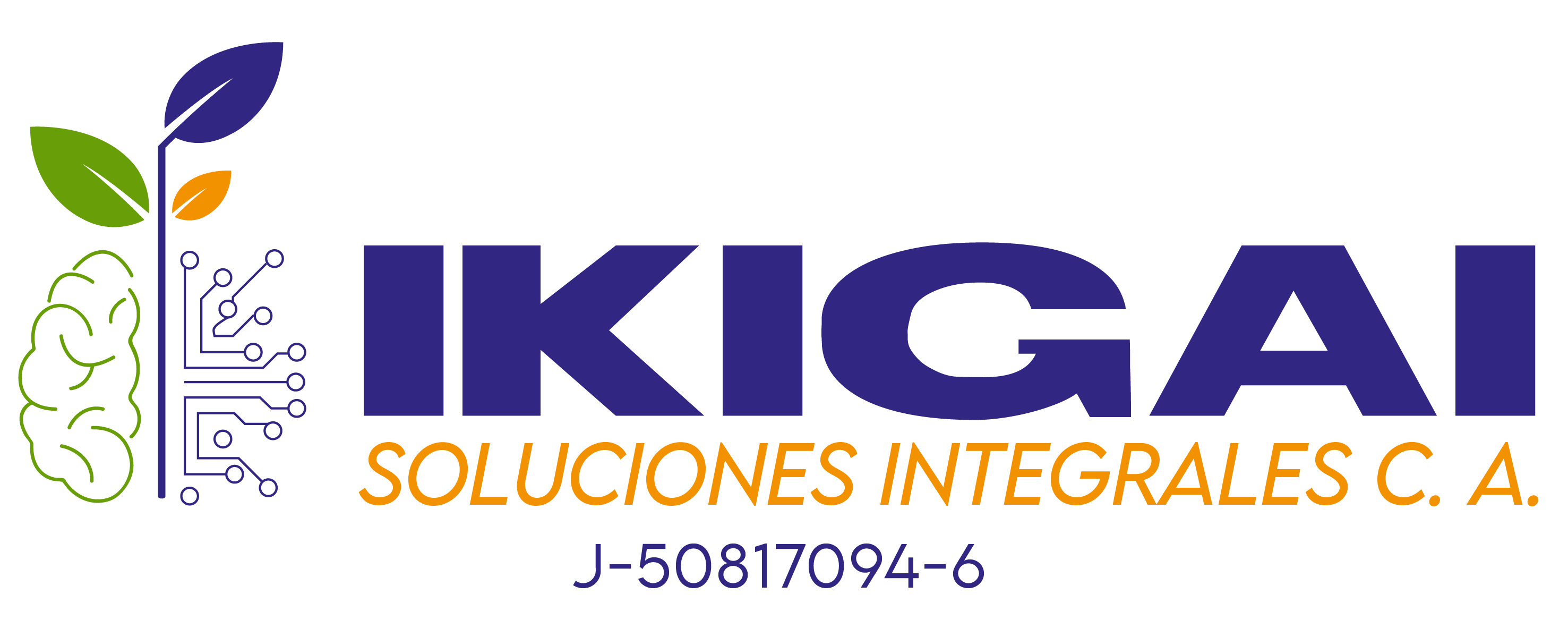 IKIGAI Soluciones Integrales